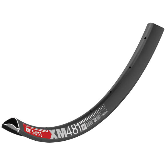 DT Swiss XM 481 29" Rim