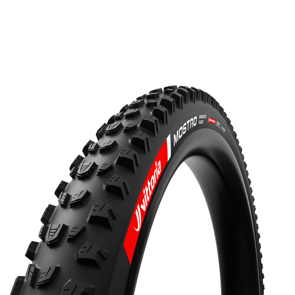 Mostro Enduro Race Tire, TLR, 29x2.4, Black